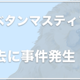 チベタンマスティフを飼ってる人は誰？事件が発生したことも？大きさや強さ・原種もチェック！