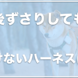 犬が後ずさりしても抜けないハーネスならコレ！抜けにくいハーネスのおすすめをチェック！