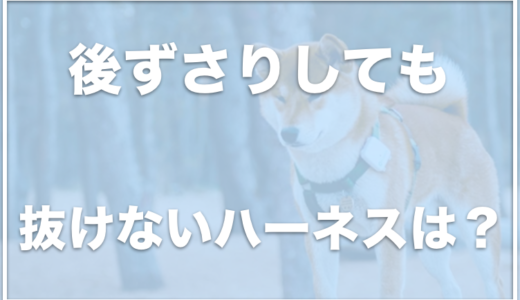 犬が後ずさりしても抜けないハーネスならコレ！抜けにくいハーネスのおすすめをチェック！