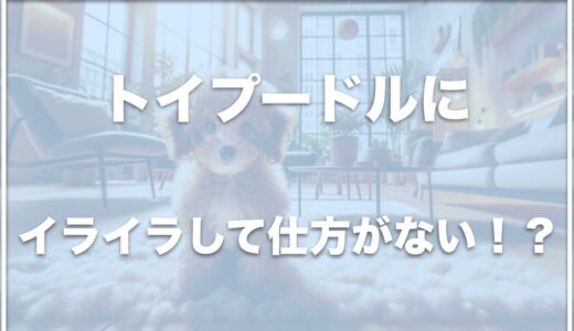 トイプードルを殴りたくなる・むかつくならもう危ない！子犬が狂ったように暴れる場合の対処法もチェック