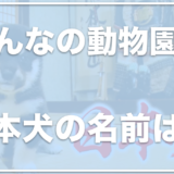 みんなの動物園の日本犬がかわいい！藤岡弘がつけた日本犬の名前をチェック！