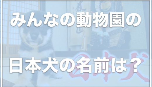 みんなの動物園の日本犬がかわいい！藤岡弘がつけた日本犬の名前をチェック！