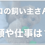 テディベアドックのモコの飼い主の顔や仕事は？手術の内容を調査！