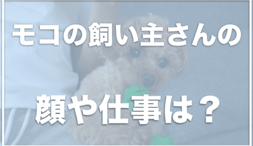 テディベアドックのモコの飼い主の顔や仕事は？手術の内容を調査！