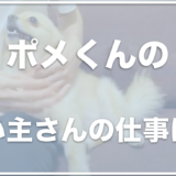 ポメラニアンのポメくんの飼い主の顔や仕事は？アンチ被害がひどくて被害届も！？