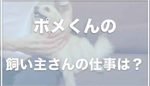 ポメラニアンのポメくんの飼い主の顔や仕事は？アンチ被害がひどくて被害届も！？