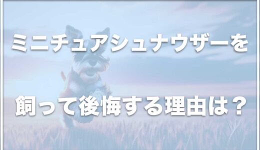 ミニチュアシュナウザーを飼って後悔？飼いにくいから大変？落ち着く年齢も調査！