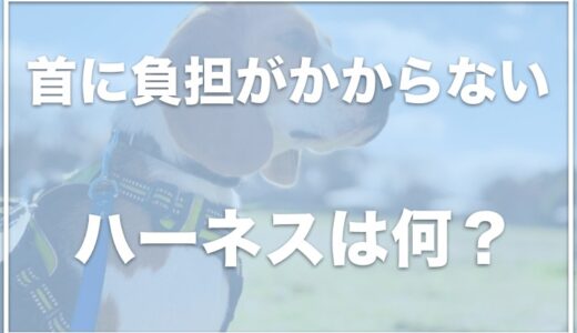 小型犬のハーネスで負担が少ないものは？首に負担がかからないハーネスをチェック！