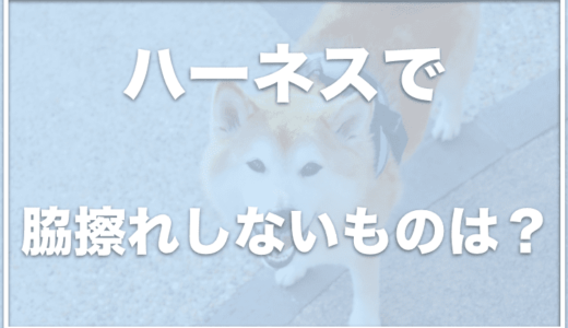 犬のハーネスで脇擦れしない・脇擦れ防止がついているものは？擦れないものでおすすめをチェック！