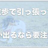 犬が散歩で引っ張る癖があって苦しそう！治らない・咳や呼吸がおかしくなる場合は要注意！？