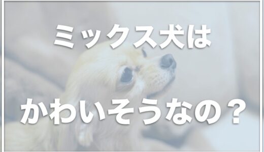 ミックス犬の良くない掛け合わせがかわいそうでひどい？奇形がいて気持ち悪い？弱いのか失敗例も調査！