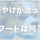 涙やけが治ったフードで口コミが良いものは？市販のフードで治る？知恵袋の情報も調査！