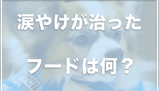 涙やけが治ったフードで口コミが良いものは？市販のフードで治る？知恵袋の情報も調査！