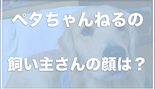 ペタちゃんねるのペタの飼い主の顔や仕事は？ペタは前足を怪我しているの？