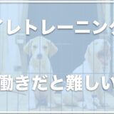 共働きで犬を飼うと後悔する？子犬のトイレトレーニングを共働きでする場合のスケジュールも調査！