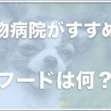 動物病院や獣医がおすすめするドッグフードは何？子犬も食べれるフードをチェック！