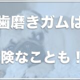 歯磨きガムは犬に危険！？ガムで牛皮は危険で死亡することも？腸閉塞の可能性もあるか調査！