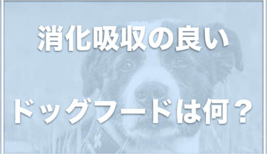 胃腸の弱い犬のドッグフードでおすすめは何？下痢しやすい犬のドッグフードでおすすめをチェック！