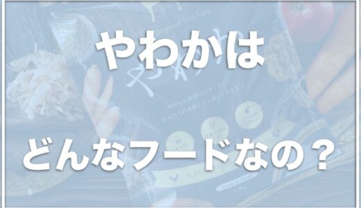 やわかドッグフードはお試しできる？口コミや評判・うまかとの違いをチェック！