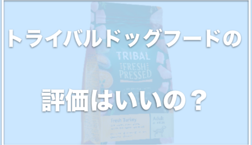 トライバルドッグフードの口コミや評価は良いの？お試しができるのかどうかもチェック！