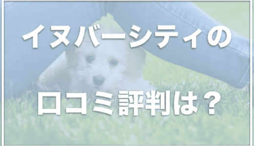 イヌバーシティの口コミの悪評は嘘？失敗から成功談まで評判を完全網羅！