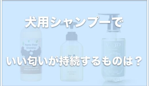 犬用シャンプーでおすすめのいい匂いが持続するものは？香りが長持ちするシャンプーも調査！