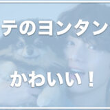 ヨンタンは病気で手術した！？死んだは嘘で生きてる？犬種・性別・保護犬だったかも調査！