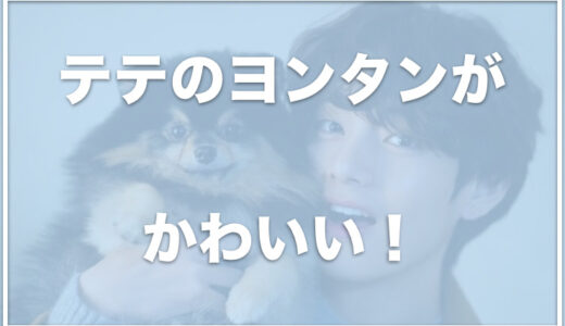 ヨンタンは病気で手術した！？死んだは嘘で生きてる？犬種・性別・保護犬だったかも調査！