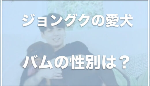 ジョングクの愛犬バムの性別は？死んだ・亡くなったと出てくるのはなぜかも調査！