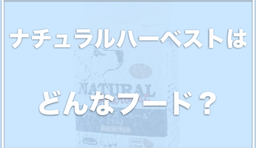 ナチュラルハーベストの取扱店は？腎臓ケアの評判や口コミをチェック！