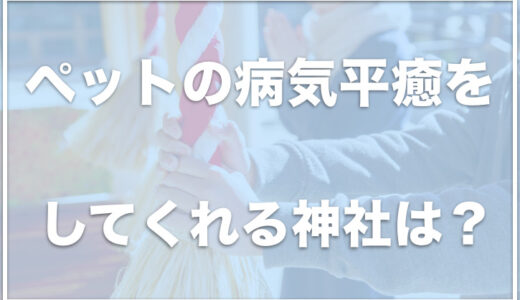 ペットの病気平癒をしてくれる神社はどこ？関東・関西の犬の病気が治る神社を調査！