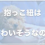 犬の抱っこ紐はかわいそう？スリングは良くない・犬の腰に負担がかかって悪いのか調査！