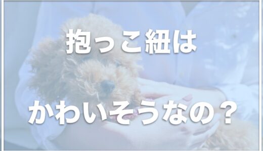 犬の抱っこ紐はかわいそう？スリングは良くない・犬の腰に負担がかかって悪いのか調査！