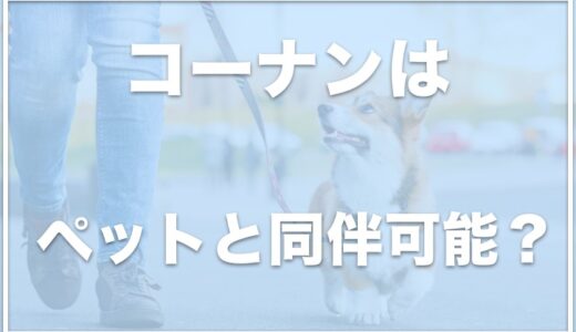 コーナンは犬連れOK？ペットと同伴可？一緒に入店したい人はこれをチェック！