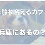 犬と触れ合えるカフェは兵庫ではこの6つ！神戸や三宮で犬と触れ合えるカフェも調査