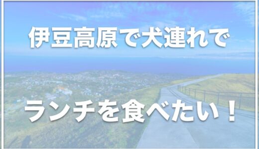 伊豆高原で犬連れでランチに海鮮を食べれるお店は？犬用メニューがあるお店も調査！