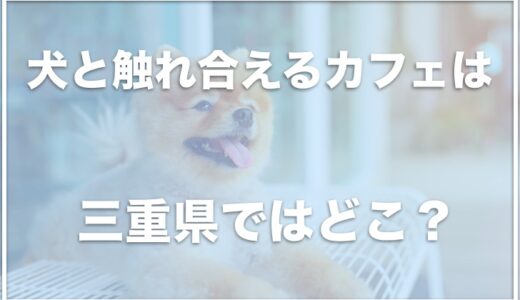 犬と触れ合えるカフェは三重県ではこの4つ！保護犬カフェや大型犬と触れ合えるカフェが人気？