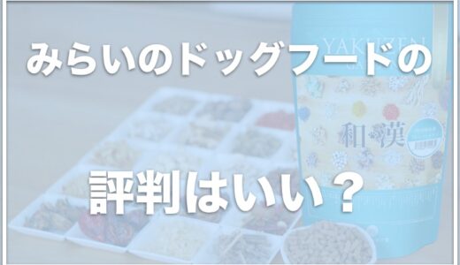 和漢みらいのドッグフードの腎臓用の口コミ評判は良いの？お得にお試しする方法を調査！