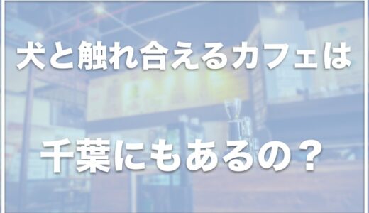 犬と触れ合えるカフェは千葉にある？保護犬カフェや柴犬のいるカフェを調査！