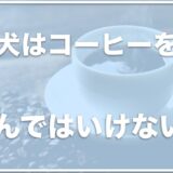 犬がコーヒーをなめた・飲んでしまったら危険！？豆一粒で死んだ例もあるのか調査！