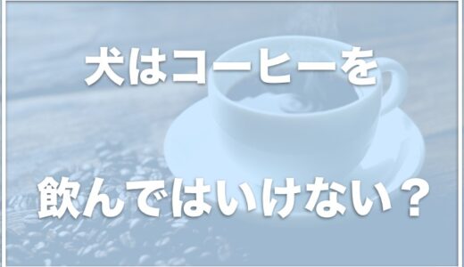 犬がコーヒーをなめた・飲んでしまったら危険！？豆一粒で死んだ例もあるのか調査！