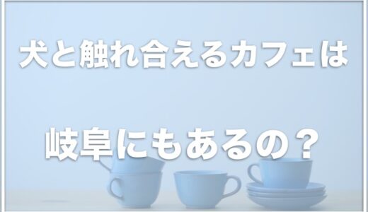 犬と触れ合えるカフェは岐阜ではココ！柴犬と触れ合える人気のカフェや珍しい犬がいる場所も！