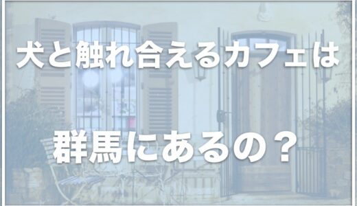 犬と触れ合えるカフェは群馬ではココ！散歩体験ができる施設も調査！