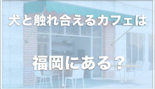 犬と触れ合えるカフェは福岡ではココ！北九州にあるカフェも調査