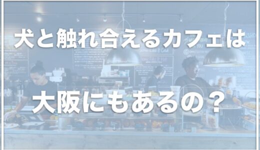 犬と触れ合えるカフェは大阪ではココ!梅田のドッグカフェで触れ合える場所があるか調査！