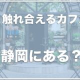 犬と触れ合えるカフェは静岡ではココ！浜松のカフェや予約が必要か調査