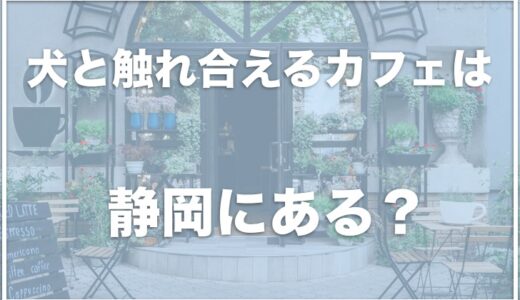 犬と触れ合えるカフェは静岡ではココ！浜松のカフェや予約が必要か調査