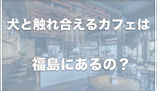 犬と触れ合えるカフェは福島にある？看板犬のいる福島の施設も調査！