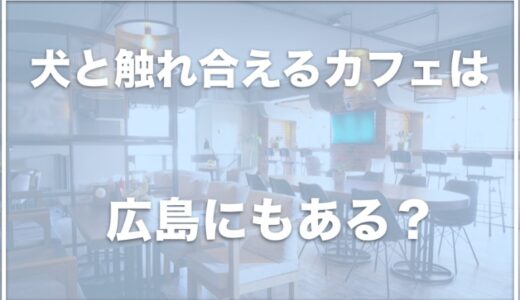 犬と触れ合えるカフェは広島ではココ！犬がいるカフェを調査！