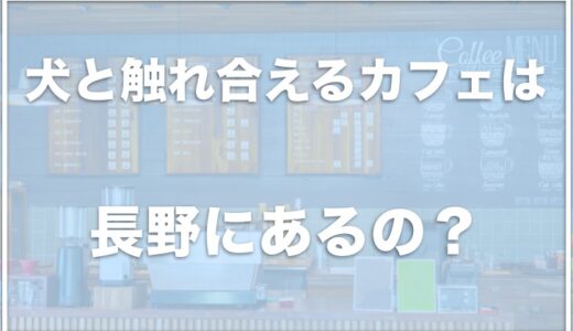 犬と触れ合えるカフェは長野にある？カフェ以外の犬と触れ合える施設も調査！